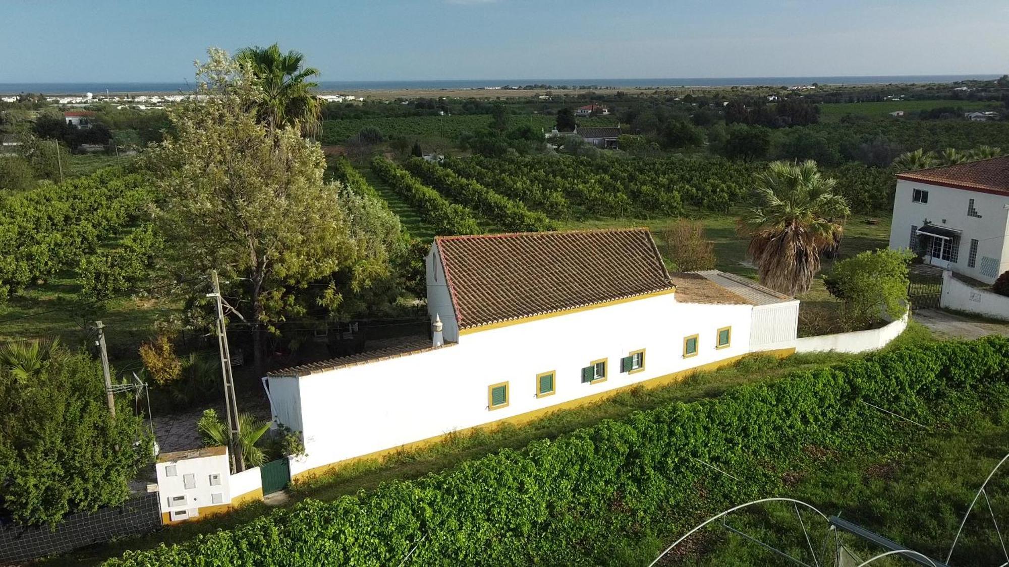Quinta Rosa Branca Hotell Tavira Eksteriør bilde