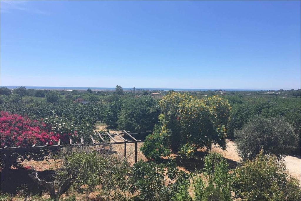 Quinta Rosa Branca Hotell Tavira Eksteriør bilde